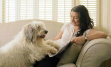 Ragazza, cane sul divano