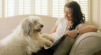 Parli al tuo cane come se fosse un essere umano? Gli psicologi rivelano cosa vuol dire